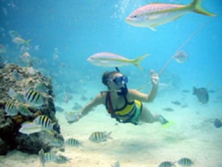 snorkel caribe
